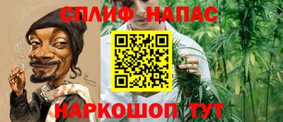 винт Тара