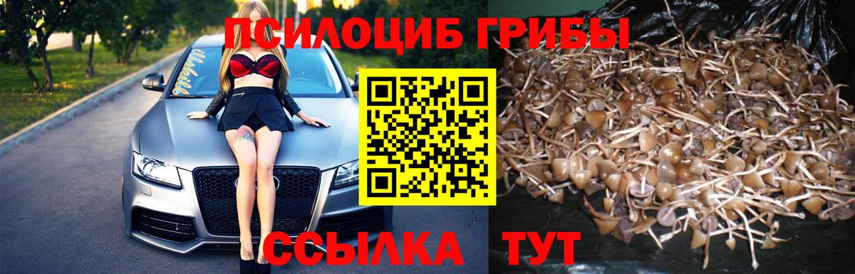 Галлюциногенные грибы ЛСД  Галлюциногенные грибы Psilocybe  Вход с VPN  Барнаул 